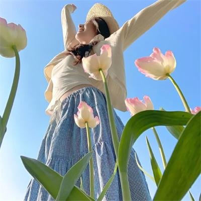 败犬女主太多了!